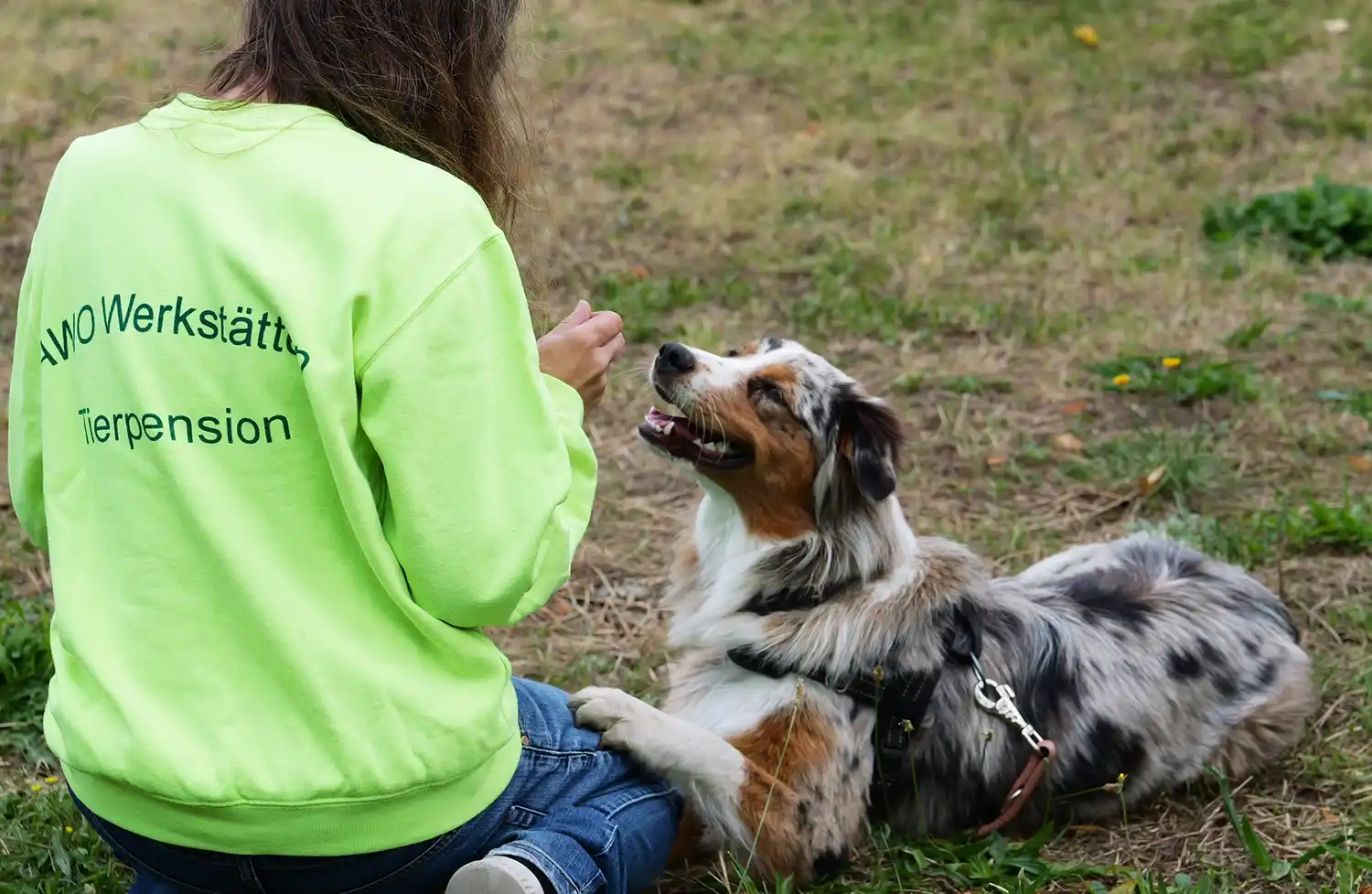 Tierpension Frau mit Hund im sitzen_11zon