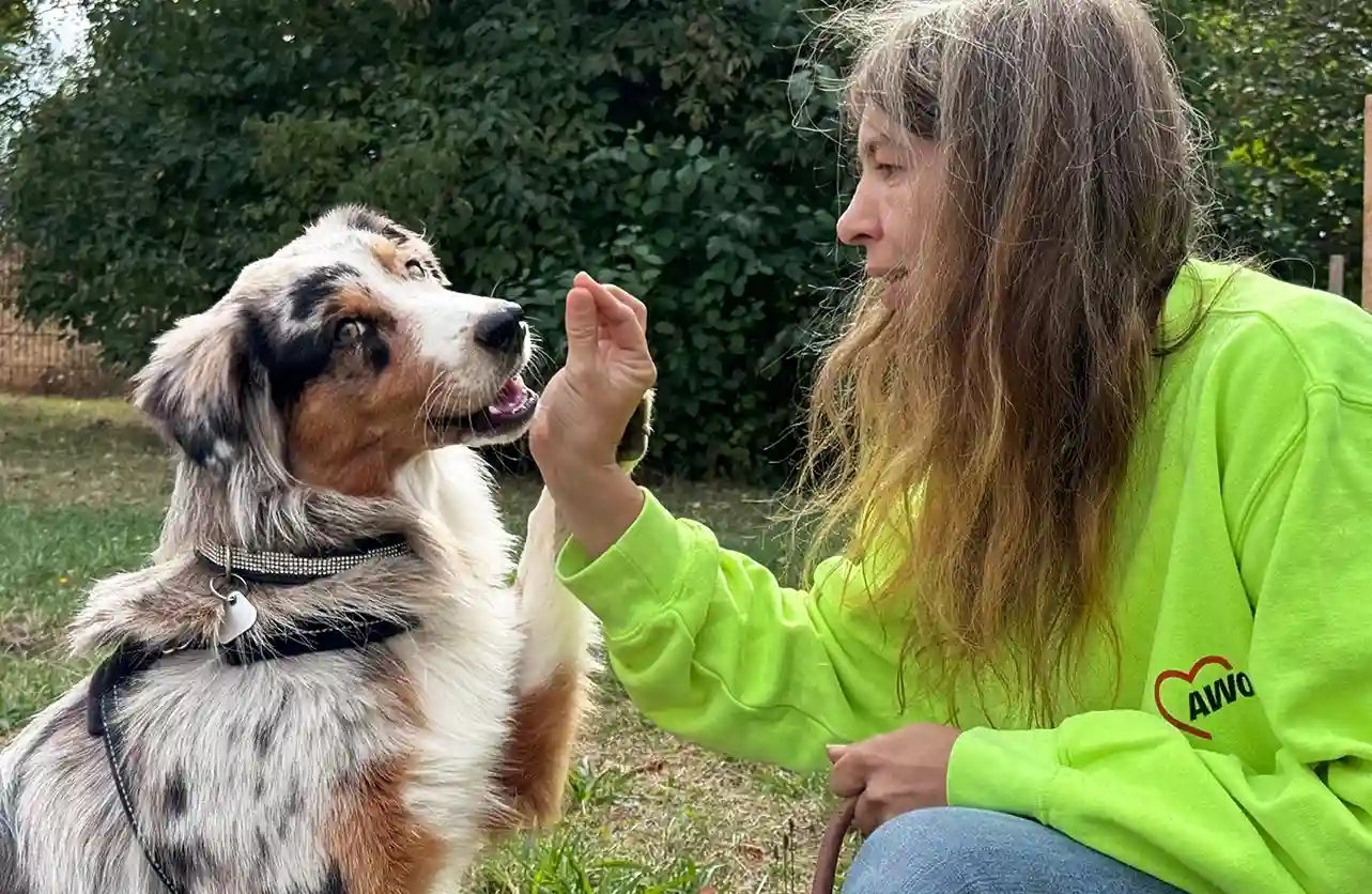 Tierpension Frau mit Hund_11zon