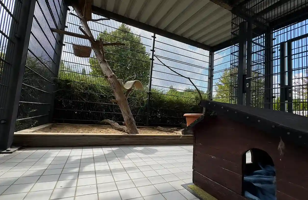 Tierpension Gehege_11zon